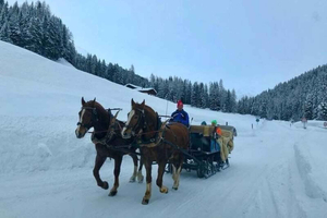 Alpine Horse Carriage Ride & Fondue Private Tour