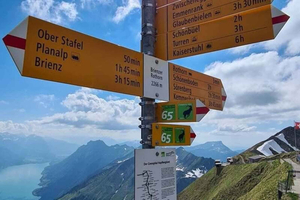 Zürich: Tur i Bernsalperna med kryssning på sjön och ångtåg
