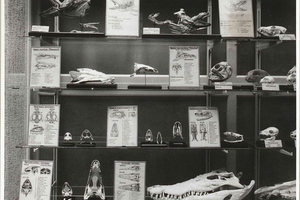 ETH Zurich Tour: Rich Animal Kingdom