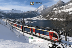Exclusive Panoramic train journey though the heart of swiss