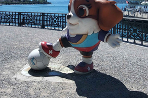 Zürich: Tur til FIFA-museet og Lindt-chokoladebutikken med afhentning