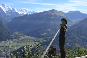 From Basel: Alps, Waterfalls and Lakes Private Car Tour