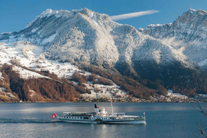 Alpi della Jungfrau, Lauterbrunnen e Lago di Thun da Zurigo