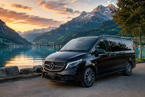 Depuis Zurich : excursion privée d'une journée au Liechtenstein et à Davos