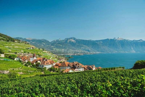 Da Zurigo: tour della riviera svizzera, Montreux e castello di Chillon