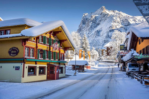 Hop-on Hop-off Zurich-Interlaken-Grindelwald-Lauterbrunnen