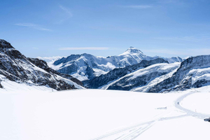 Jungfraujoch & Interlaken | VIP Sprinter Small Group