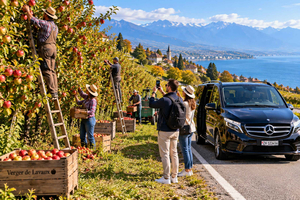 Lucerna: Magia de Outono de Luxo – Rapperswil e Cataratas do Reno