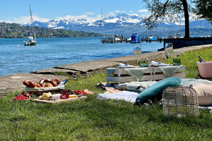 Luxury picnic by Zurich lake