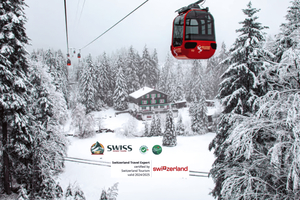 Pilatus & Lucerne Private Day Trip