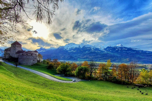 Excursão particular em Liechtenstein: degustação de vinhos e vistas dos Alpes