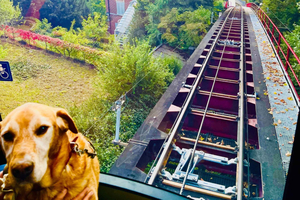 Zurich 2 Funicular secret with 2 Panoramic Views same day