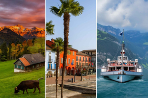 Zurich: 3 Train Tours to South, East & Central Switzerland
