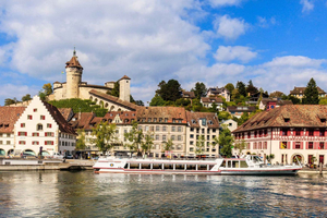 Zürich:Private Car Tour- Rhine Falls, Titisee & Black Forest