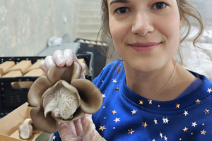 Zurich's best-kept secret: the hidden world of mushrooms!
