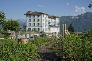 Hotel Villa Honegg