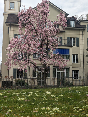 stattHotel - Hotel Zürich