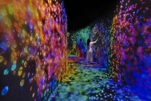 Abu Dhabi: ingresso para o teamLab Phenomena