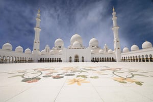 Desde Dubái: visita a la Gran Mezquita de Abu Dabi y opción de parque temático