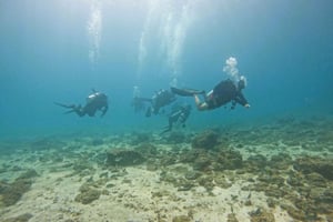 From Abu Dhabi: 2 Dives for Certified Divers with transfer