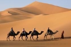 Abu Dhabi Historie og Kultur