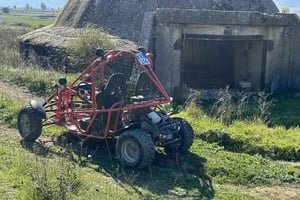 1,5-часовая поездка на внедорожных багги к озеру Чини