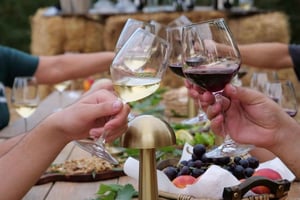 Albansk vin- og raki-smagning på Hani i Qerosit