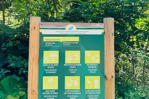 La magia del Ojo Azul y las vistas del castillo: tour de aventura por Saranda