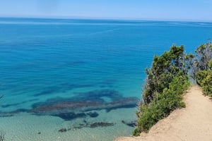 Rodonin niemi, vaellus linnaan, ranta, viininmaistelukierros!