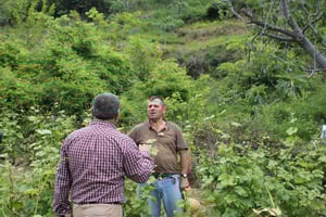 Från Berat: Guidad tur till vingårdar med transfer och provsmakning