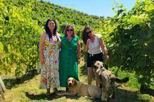 De Durrës: degustação de vinhos albaneses com passeio de barco e visita a uma vinha