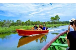 Fra Durres: Karavasta Lagoon & Apolonia Ancient City Tour