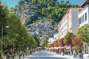 Fra Tirana: Daglig tur til Berat | UNESCO og Belsh (vingård)