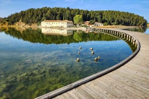 Desde Tirana/Durres/Golem: Tour por la ciudad de Vlora y la isla de Zvernec