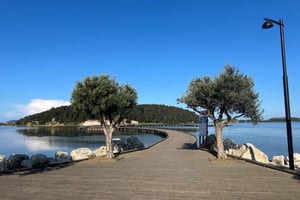 Au départ de Vlora : excursion d'une journée à Zvernec, Apollonia et Berat