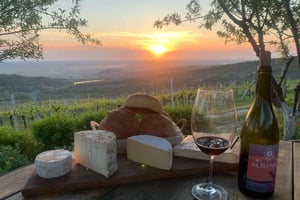 Однодневная экскурсия из Влёры: Звернец, Аполлония и дегустация вина