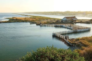 Golem/Durrës: Karavasta-laguunikierros