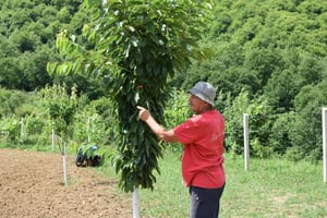 プレサットでの伝統的なアルバニア料理ランチ付き体験型ファームデー