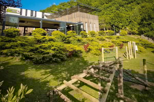 Kosovo: Bear Sanctuary Prishtina, (guidet tur og transport)