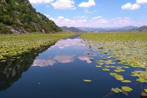 Kotor: Skadar Lake National Park med vinsmagning