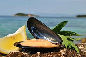 Ksamilin purjehdus ja simpukanmaistelu