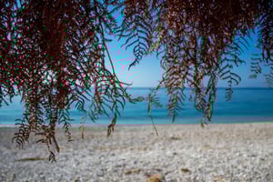 Saranda: tour guidato di Qeparo e Himara