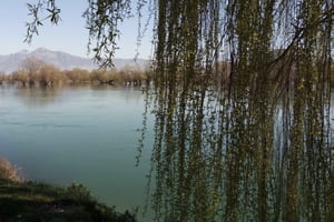 Expérience culinaire et bien-être à Shkodër – Trésors cachés