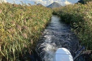 Skadar Lake 2h Scenic Boat tour from Virpazar