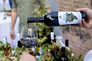 Vlore: Viagem de um dia a Berat com experiência de degustação de vinhos
