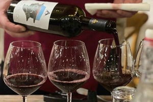 Experiência de degustação de vinhos na Adega Alpeta