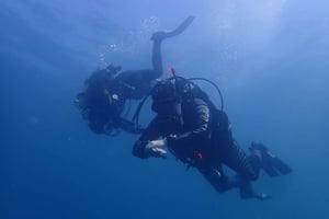 Albufeira : 2 plongées (seulement pour les plongeurs certifiés)