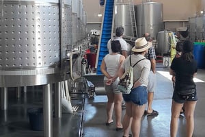 Albufeira: tour guidato della costa dell'Algarve con degustazione di vini