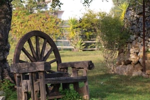 Algarve: Flavors and Traditions Tour