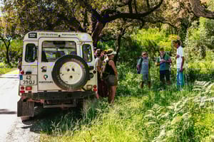Algarve: Safari in jeep con visita alla distilleria e pranzo